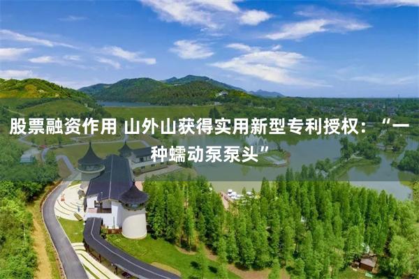 股票融资作用 山外山获得实用新型专利授权：“一种蠕动泵泵头”