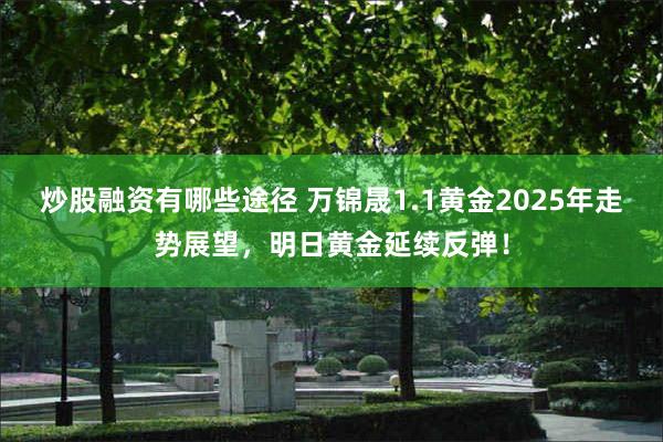 炒股融资有哪些途径 万锦晟1.1黄金2025年走势展望，明日黄金延续反弹！