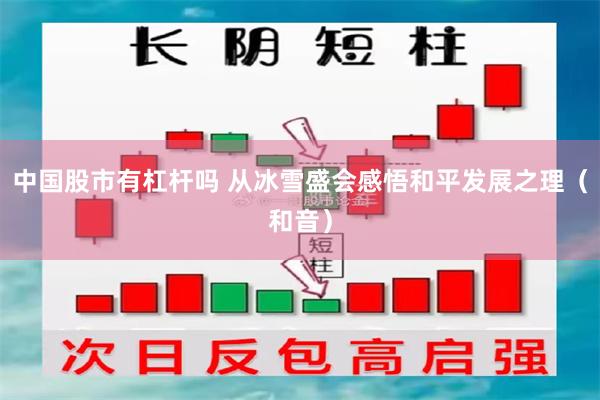 中国股市有杠杆吗 从冰雪盛会感悟和平发展之理（和音）