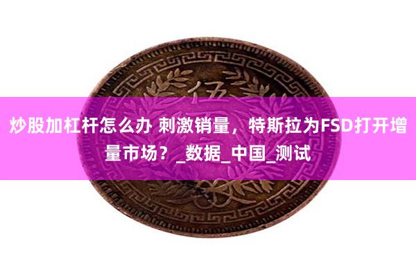 炒股加杠杆怎么办 刺激销量，特斯拉为FSD打开增量市场？_数据_中国_测试
