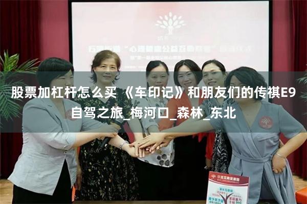 股票加杠杆怎么买 《车印记》和朋友们的传祺E9自驾之旅_梅河口_森林_东北