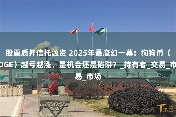 股票质押信托融资 2025年最魔幻一幕：狗狗币（DOGE）越亏越涨，是机会还是陷阱？_持有者_交易_市场