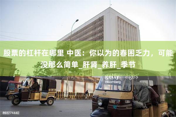 股票的杠杆在哪里 中医：你以为的春困乏力，可能没那么简单_肝肾_养肝_季节