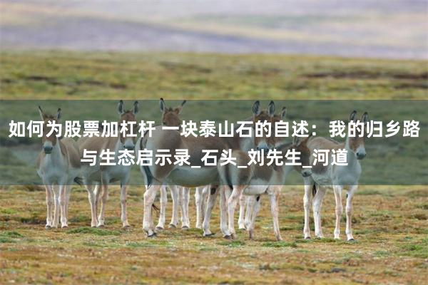 如何为股票加杠杆 一块泰山石的自述：我的归乡路与生态启示录_石头_刘先生_河道