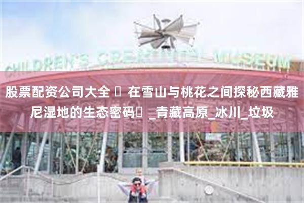 股票配资公司大全 ‌在雪山与桃花之间探秘西藏雅尼湿地的生态密码‌_青藏高原_冰川_垃圾