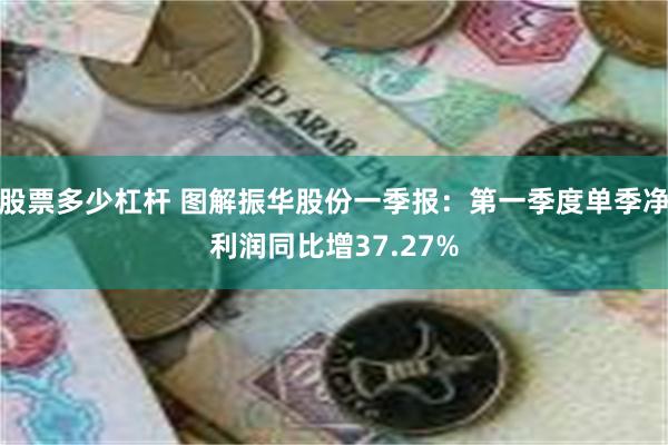 股票多少杠杆 图解振华股份一季报：第一季度单季净利润同比增37.27%