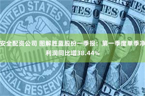 安全配资公司 图解胜蓝股份一季报：第一季度单季净利润同比增38.44%