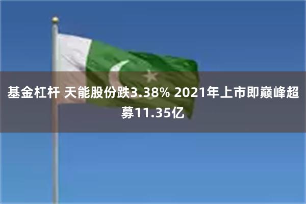 基金杠杆 天能股份跌3.38% 2021年上市即巅峰超募11.35亿