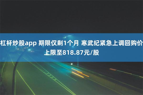 杠杆炒股app 期限仅剩1个月 寒武纪紧急上调回购价上限至818.87元/股