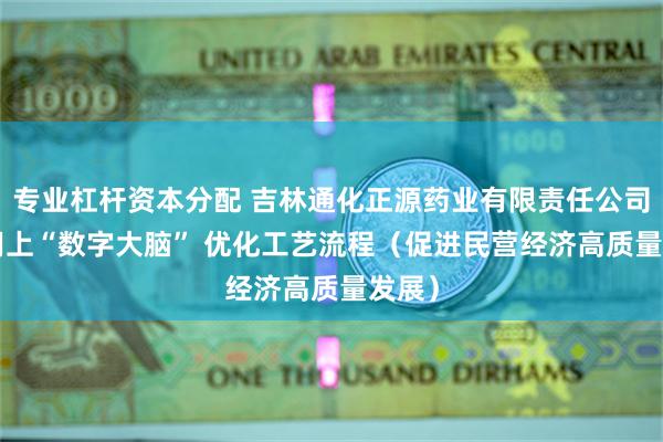 专业杠杆资本分配 吉林通化正源药业有限责任公司—— 用上“数字大脑” 优化工艺流程（促进民营经济高质量发展）