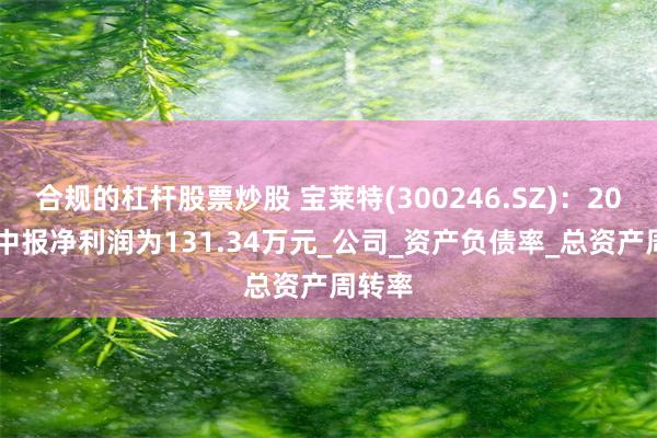 合规的杠杆股票炒股 宝莱特(300246.SZ)：2025年中报净利润为131.34万元_公司_资产负债率_总资产周转率
