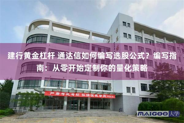 建行黄金杠杆 通达信如何编写选股公式？编写指南：从零开始定制你的量化策略