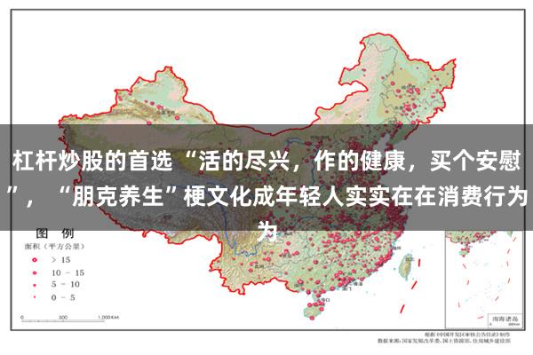 杠杆炒股的首选 “活的尽兴,作的健康,买个安慰”, “朋克养生”梗文化成年轻人实实在在消费行为